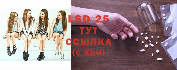 ГАЛЛЮЦИНОГЕННЫЕ ГРИБЫ Вязники