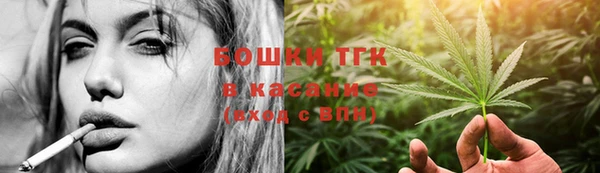 ГАЛЛЮЦИНОГЕННЫЕ ГРИБЫ Вязники