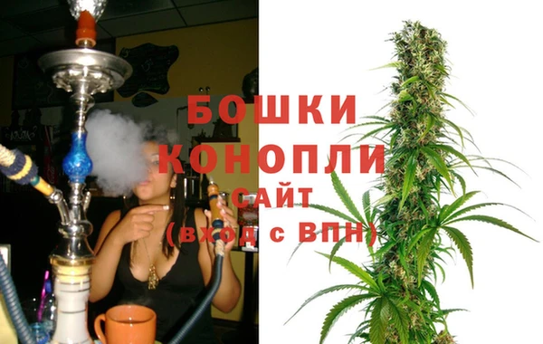 ГАЛЛЮЦИНОГЕННЫЕ ГРИБЫ Вязники