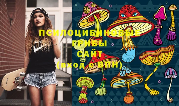 МДМА Вяземский