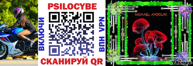 Галлюциногенные грибы Psilocybine cubensis  Петровск-Забайкальский 