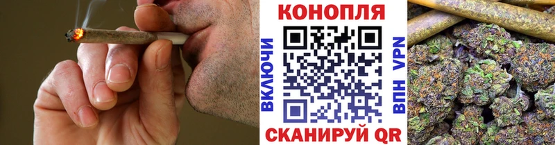 Каннабис план  наркотики  Петровск-Забайкальский 